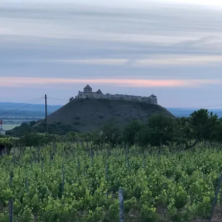 Szolohegy Vendeghaz Vakantiehuis *