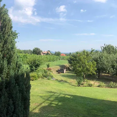 Vakantiehuis Szolohegy Vendeghaz