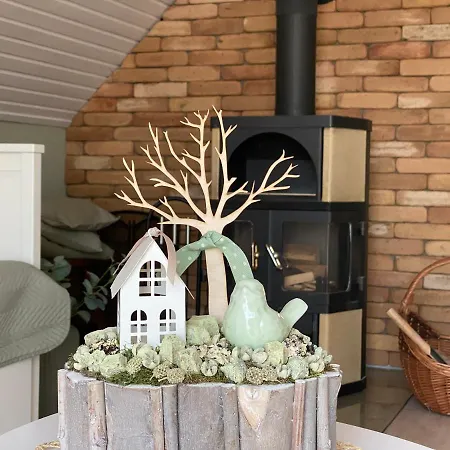 Szolohegy Vendeghaz *