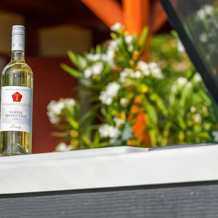 Szolohegy Vendeghaz Vakantiehuis