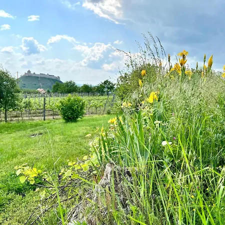 Vakantiehuis Szolohegy Vendeghaz *