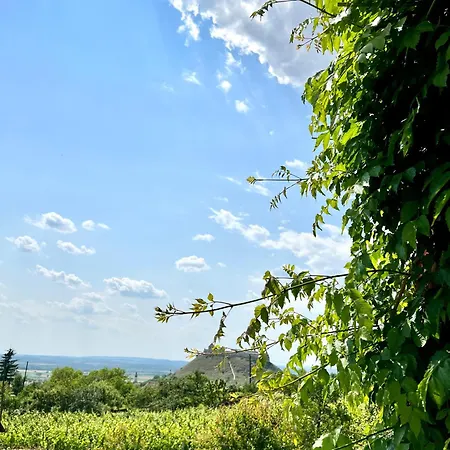 Szolohegy Vendeghaz Σπίτι διακοπών