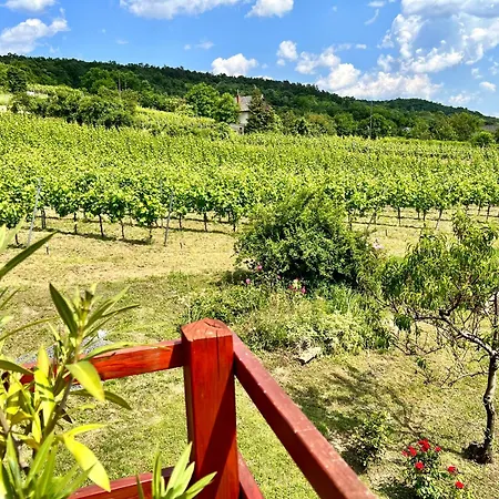 Szolohegy Vendeghaz Vakantiehuis