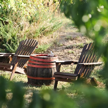 Vakantiehuis Szolohegy Vendeghaz