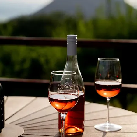 Vakantiehuis Szolohegy Vendeghaz