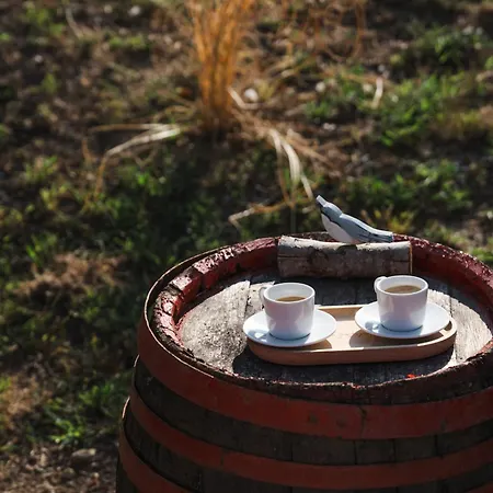 Vakantiehuis Szolohegy Vendeghaz *