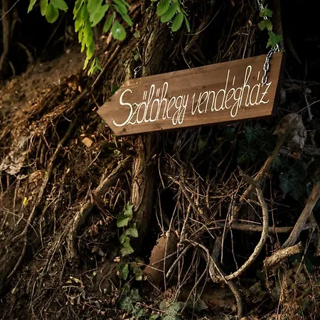 Szolohegy Vendeghaz Vakantiehuis Sümeg