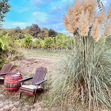 Szolohegy Vendeghaz Sümeg