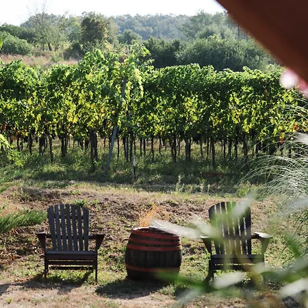 Szolohegy Vendeghaz Vakantiehuis